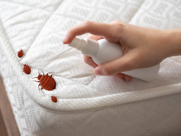 Best Best Pest Control Companies  in Charleston, MO